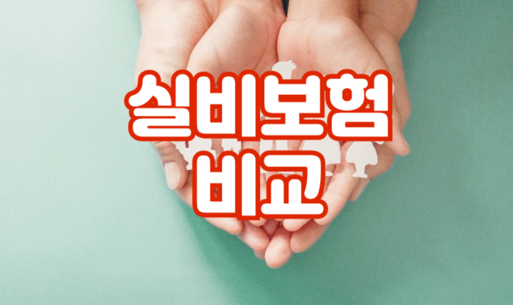 ½Çºñº¸Çèºñ±³