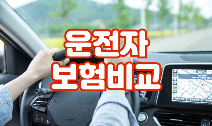 ¿îÀüÀÚº¸Çè·áºñ±³