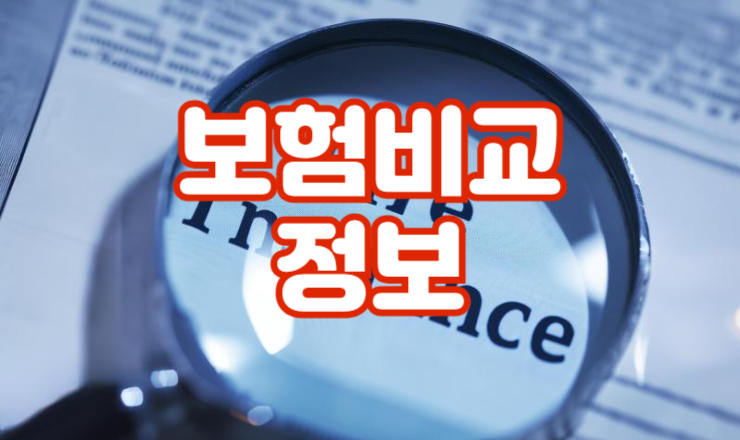 º¸ÇèÁ¤º¸°Ô½ÃÆÇ